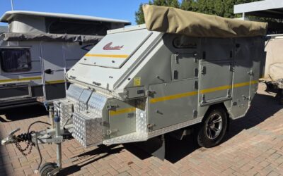 2019 Afrispoor Cheetah